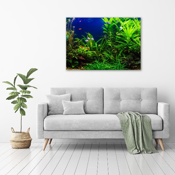 Schilderij op acrylglas Vissen in het aquarium