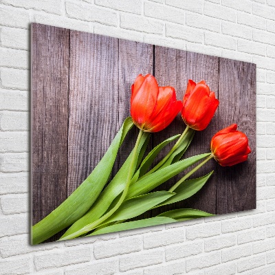 Foto op plexiglas Rode tulpen