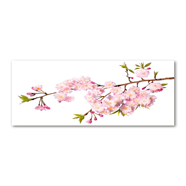 Foto plexiglas Doorn