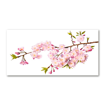 Foto plexiglas Doorn