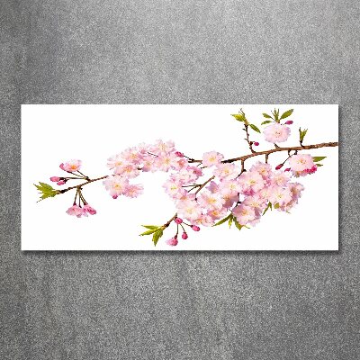 Foto plexiglas Doorn