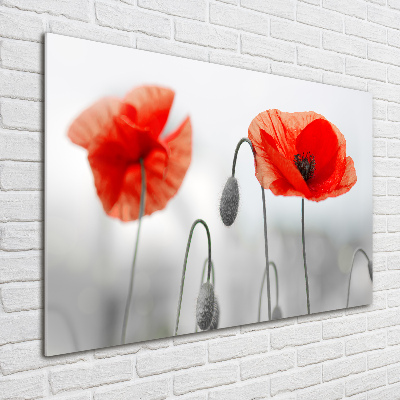 Schilderij op acrylglas Klaprozen