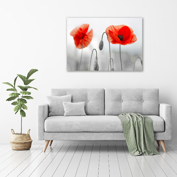 Schilderij op acrylglas Klaprozen