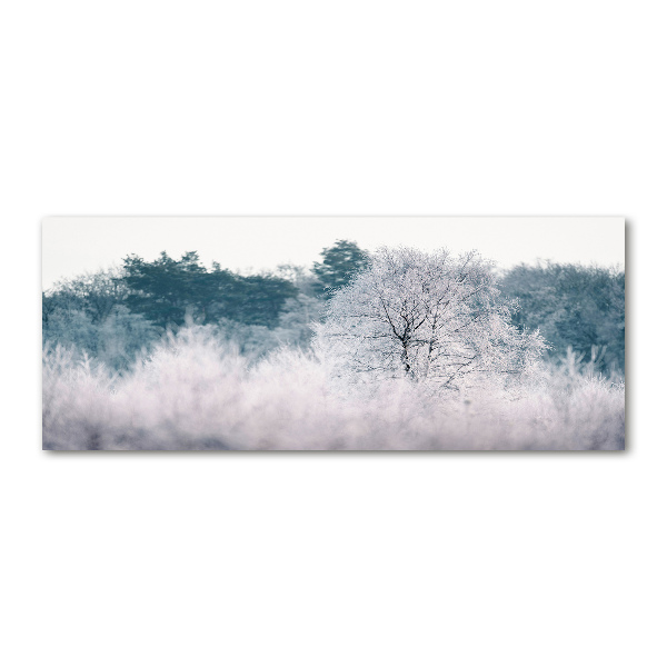 Foto plexiglas Bomen in de winter