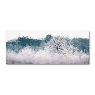 Foto plexiglas Bomen in de winter