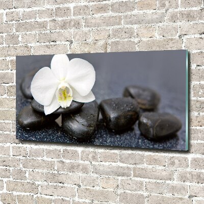 Plexiglas schilderij Orchidee