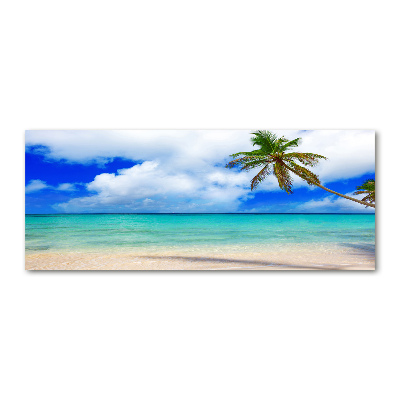 Foto in plexiglas Caribisch strand