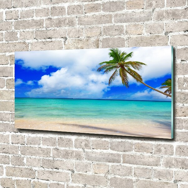 Foto in plexiglas Caribisch strand