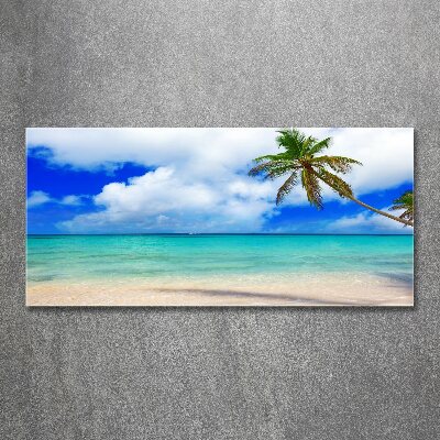 Foto in plexiglas Caribisch strand