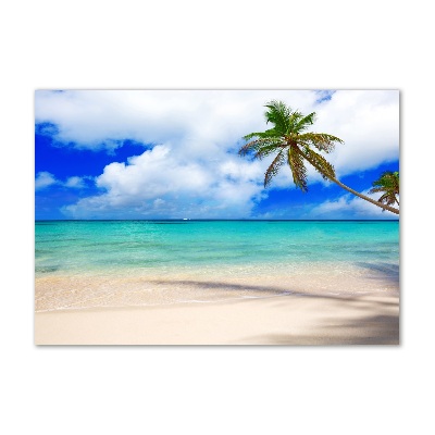 Foto in plexiglas Caribisch strand