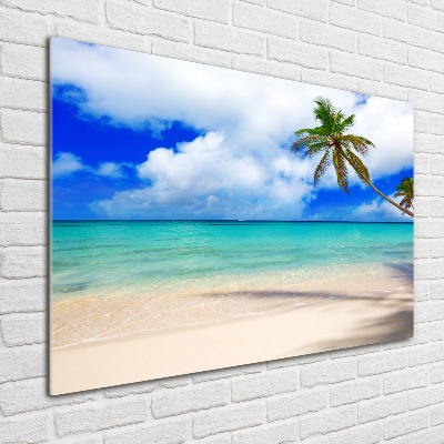 Foto in plexiglas Caribisch strand