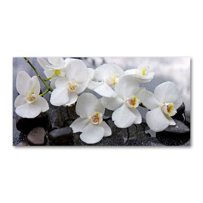 Foto op plexiglas Orchidee
