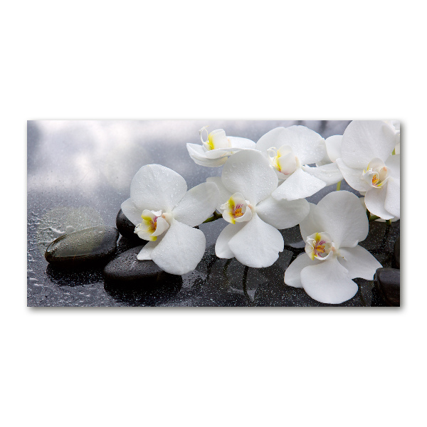 Foto plexiglas Orchidee