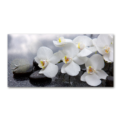 Foto plexiglas Orchidee