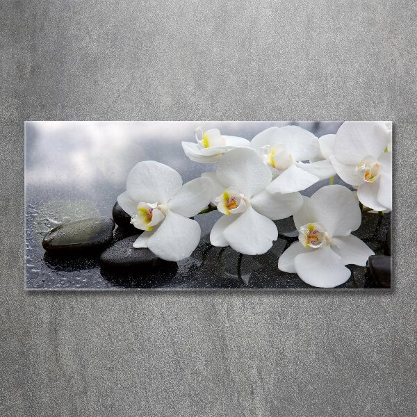 Foto plexiglas Orchidee