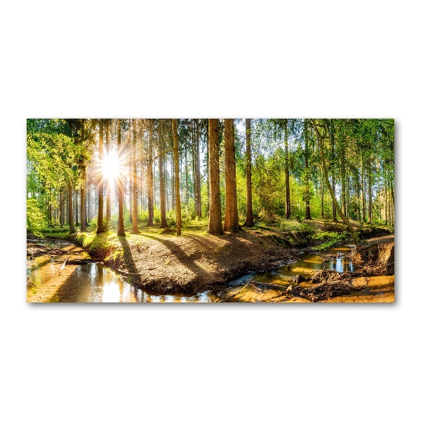Plexiglas schilderij Panorama van het bos