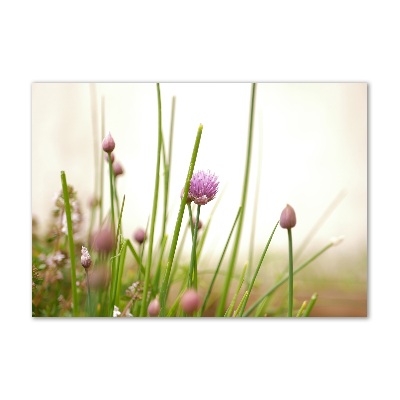 Foto in plexiglas Bieslook