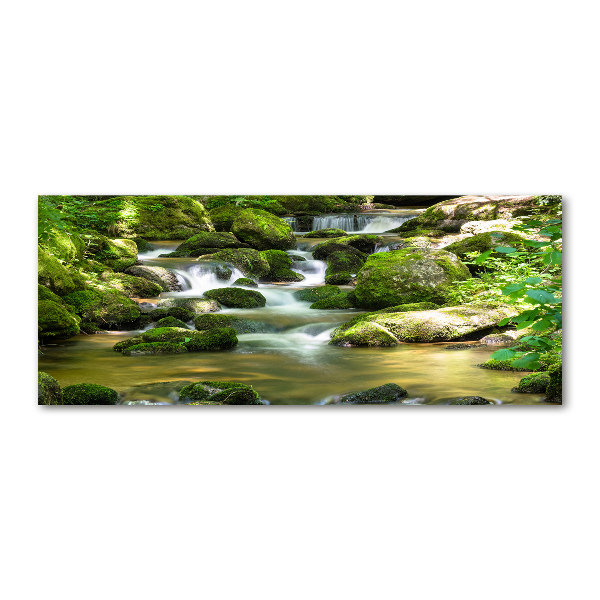 Schilderij op acrylglas Waterval