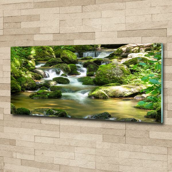 Schilderij op acrylglas Waterval