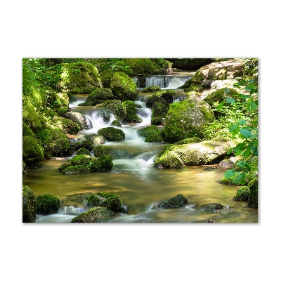 Schilderij op acrylglas Waterval