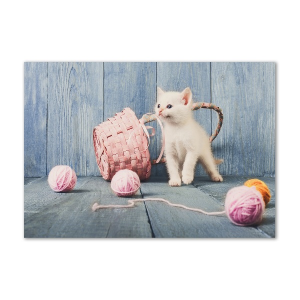 Plexiglas schilderij Witte kat en strengen