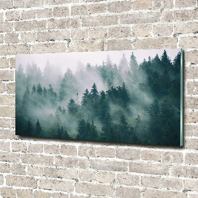 Schilderij op acrylglas Mist boven het bos