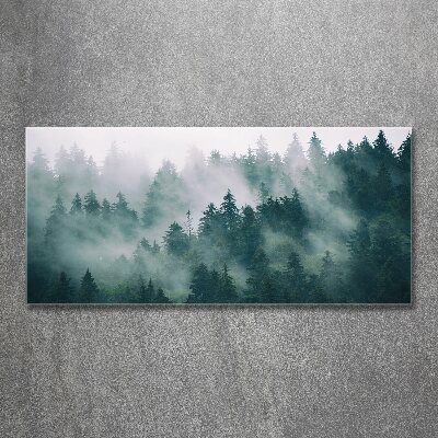 Schilderij op acrylglas Mist boven het bos