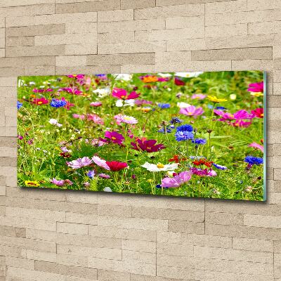 Foto in plexiglas Wilde bloemen