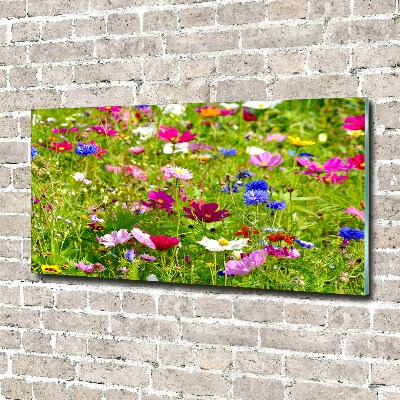 Foto in plexiglas Wilde bloemen