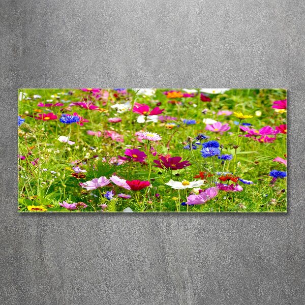 Foto in plexiglas Wilde bloemen