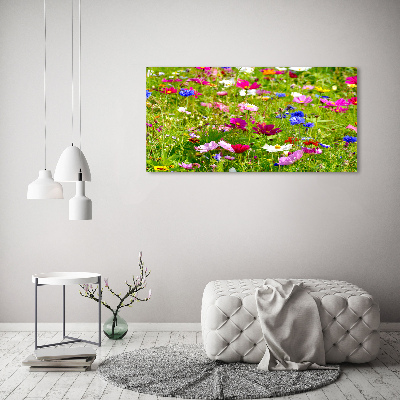 Foto in plexiglas Wilde bloemen