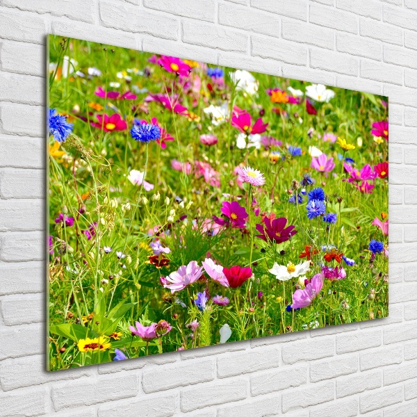 Foto in plexiglas Wilde bloemen
