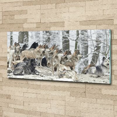 Foto op plexiglas Wolven in de winter