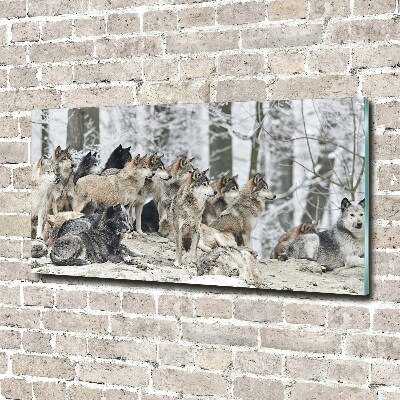 Foto op plexiglas Wolven in de winter