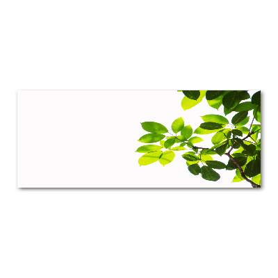 Plexiglas schilderij Bladeren