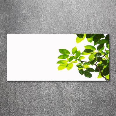 Plexiglas schilderij Bladeren