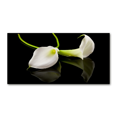 Foto op plexiglas Calla