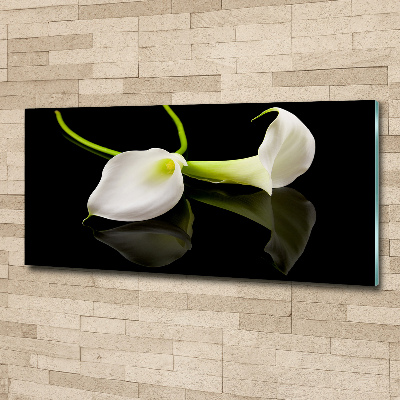 Foto op plexiglas Calla