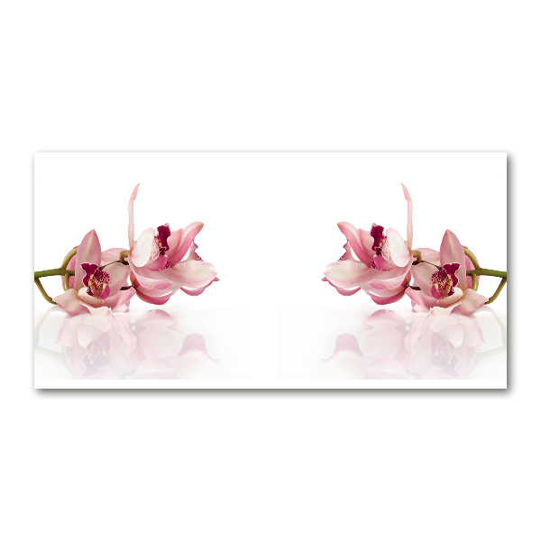 Plexiglas foto Orchidee