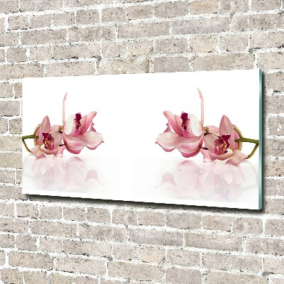 Plexiglas foto Orchidee