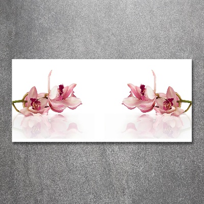 Plexiglas foto Orchidee