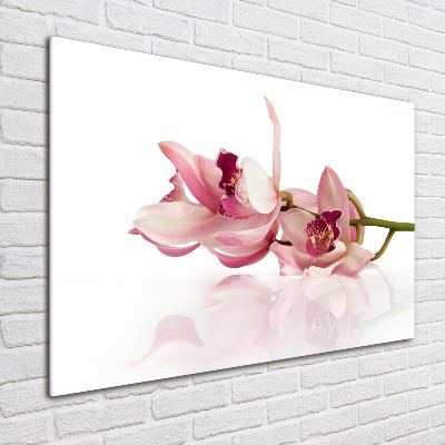 Plexiglas foto Orchidee