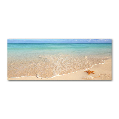 Plexiglas schilderij Zeesterren op het strand
