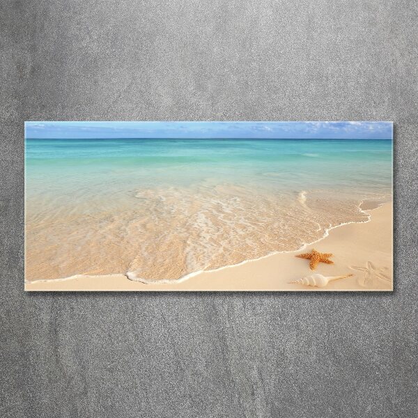 Plexiglas schilderij Zeesterren op het strand