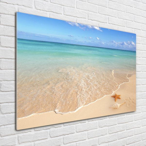 Plexiglas schilderij Zeesterren op het strand