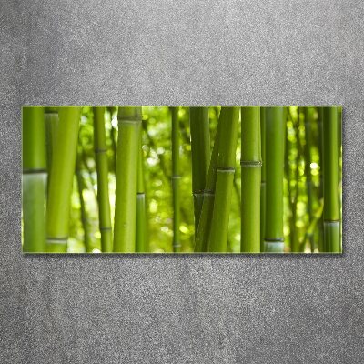 Plexiglas schilderij Bamboe
