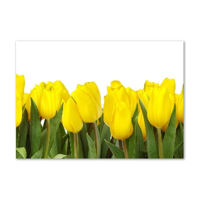 Foto op plexiglas Gele tulpen