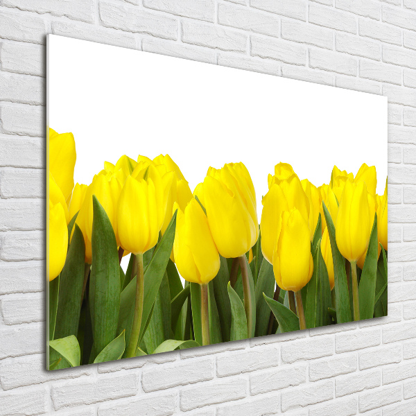 Foto op plexiglas Gele tulpen