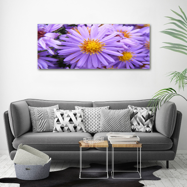 Plexiglas foto Asters