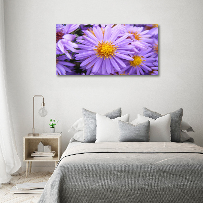 Plexiglas foto Asters